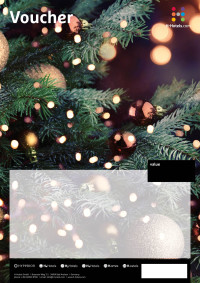 Voucher template 27